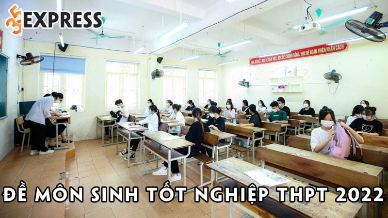 Đề môn Sinh tốt nghiệp THPT 2022
