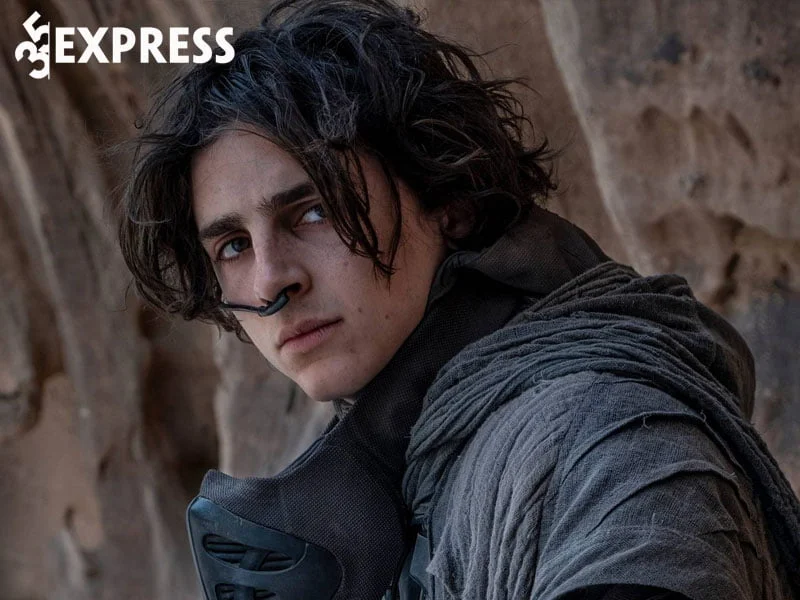 buoc-dot-pha-trong-su-nghiep-cua-timothee-chalamet-35express