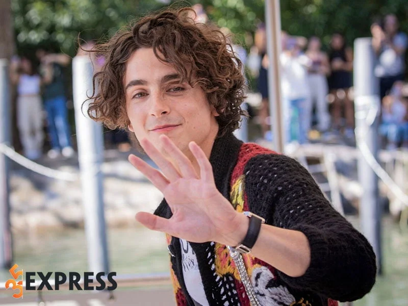 mot-so-hinh-anh-moi-nhat-cua-timothee-chalamet-35express