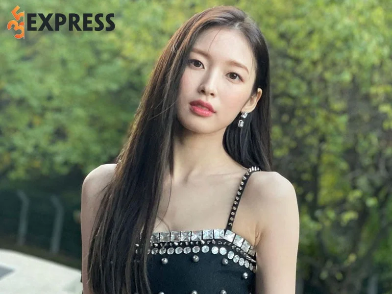 tom-tat-ly-lich-tieu-su-ca-si-arin-35express
