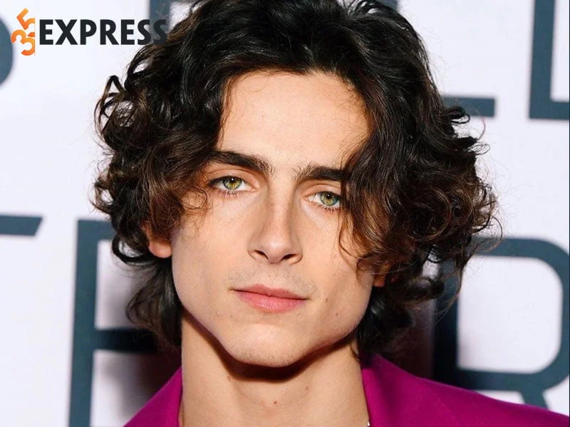 tom-tat-ly-lich-tieu-su-dien-vien-timothee-chalamet-35express