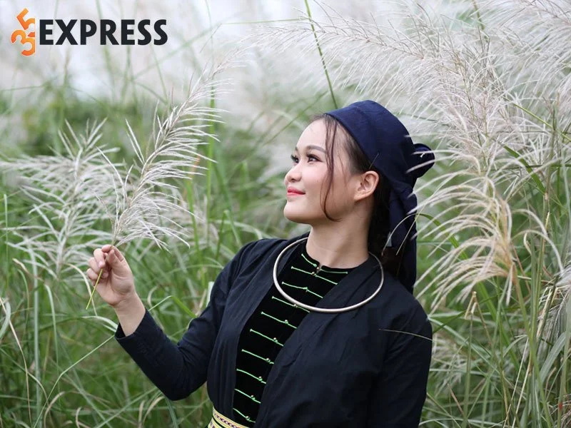 tom-tat-ly-lich-tieu-su-thao-nguyen-famer-35express