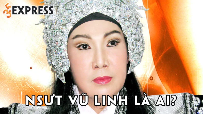 nsut-vu-linh-la-ai-35express