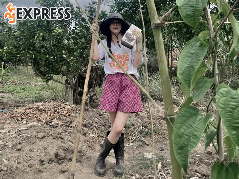 tina-duong-ninh-thi-van-anh-chinh-thuc-thua-kien-lai-nan-nhan-17-ty-35express