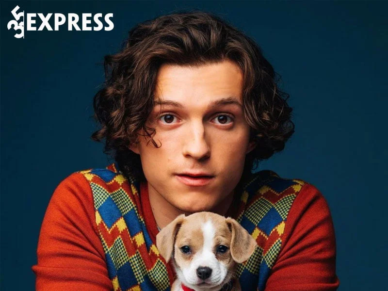 tom-tat-ly-lich-tieu-su-dien-vien-tom-holland-35express