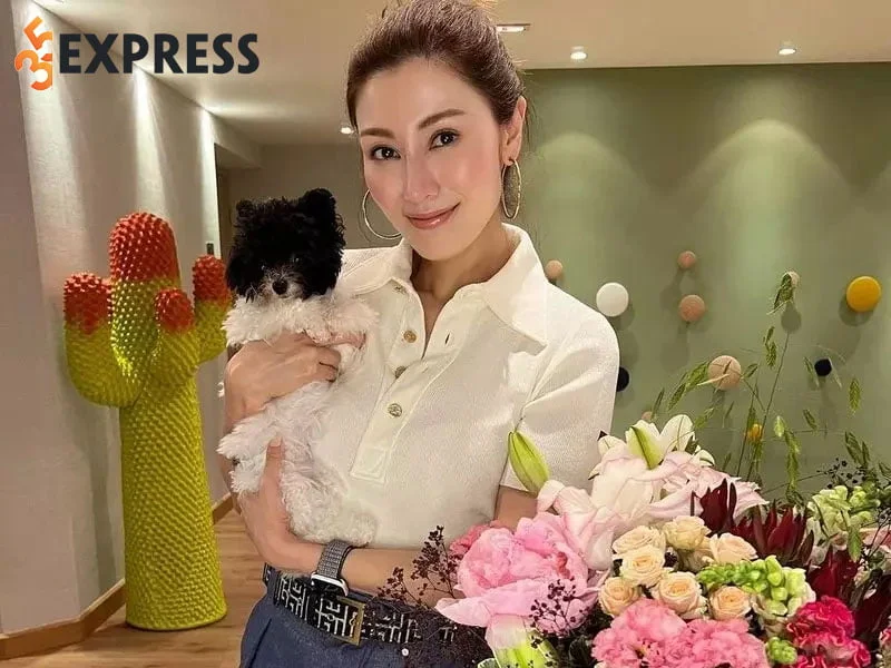 ly-gia-han-chia-se-ve-giay-phut-suyt-mat-mang-2-35express