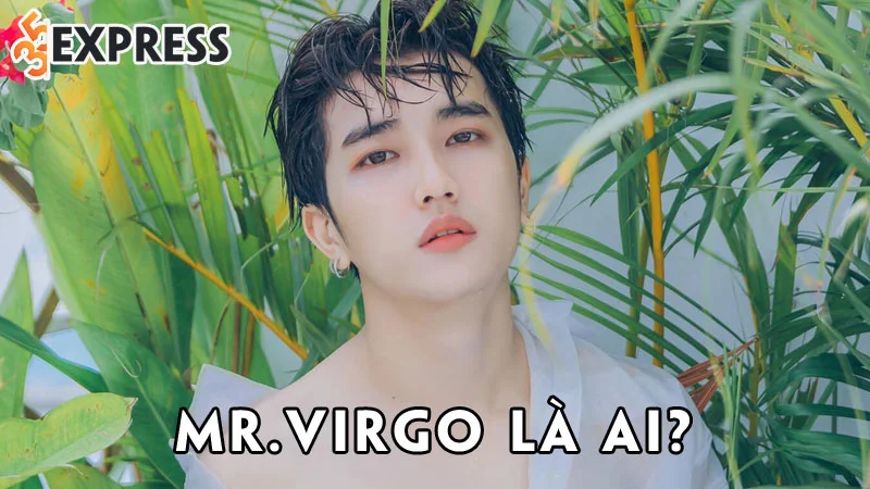 mrvirgo-la-ai-35express