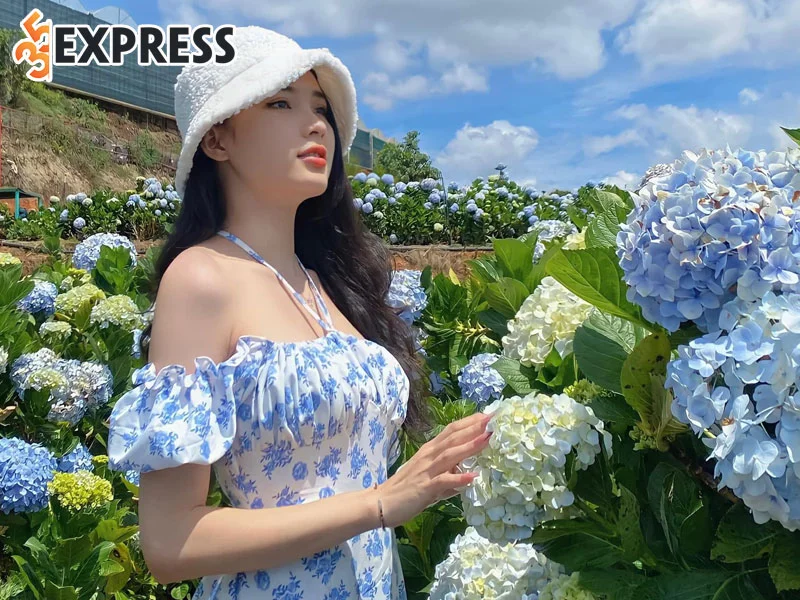 thong-tin-ly-lich-model-chau-minh-thuy-35express