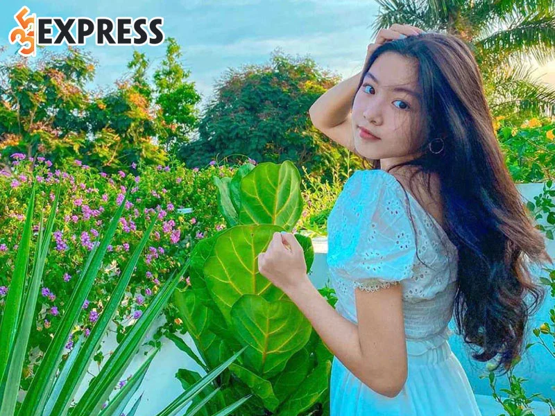 tom-tat-ly-lich-tieu-su-cua-mai-thao-linh-35express