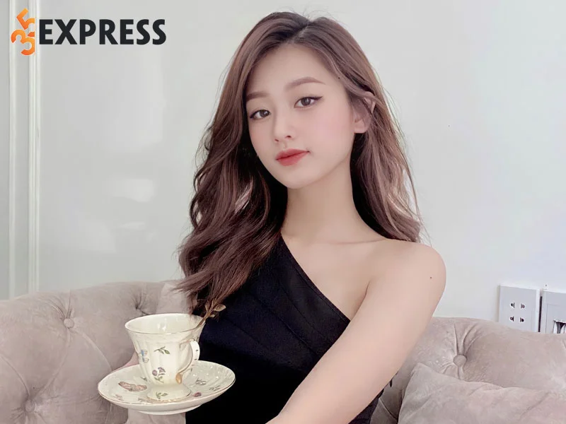 tom-tat-ve-ly-lich-tieu-su-cua-doan-kim-anh-35express