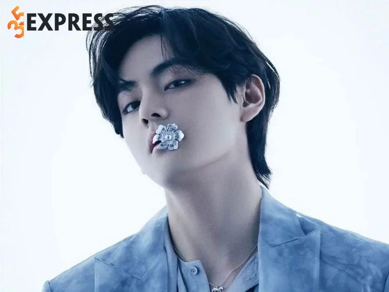 tom-tat-ve-ly-lich-tieu-su-cua-v-bts-35express