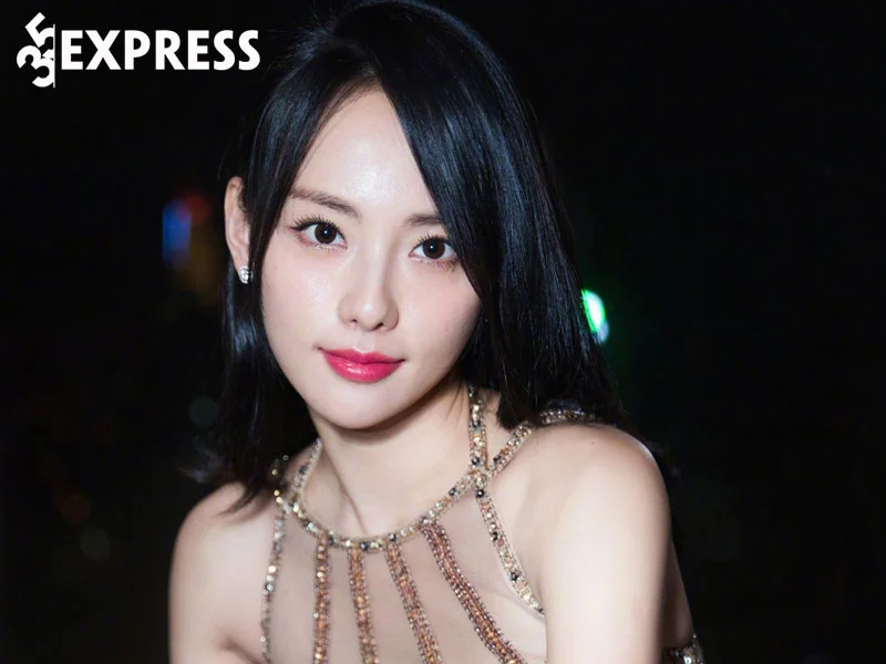 khoi-dau-su-nghiep-cua-dien-vien-truong-gia-nghe-35express