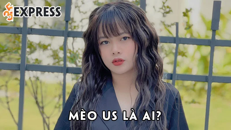 meo-us-la-ai-35express