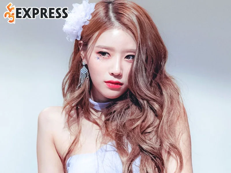 su-nghiep-thanh-cong-cua-lee-mi-joo-35express