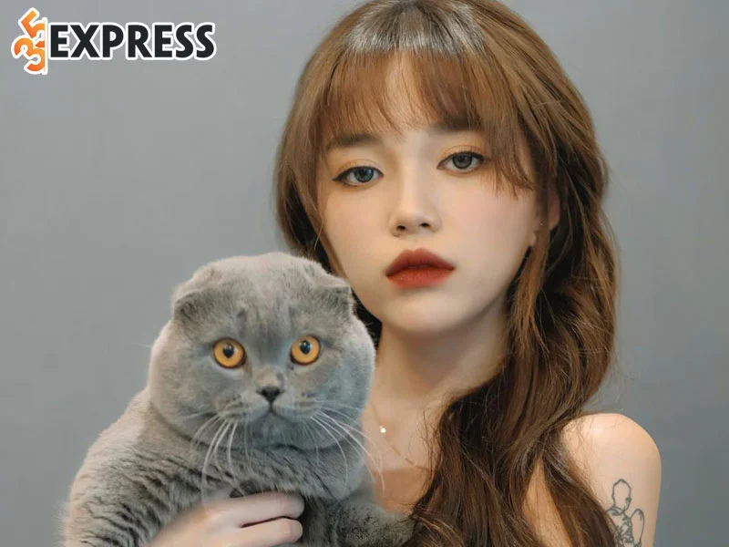 tom-tat-tieu-su-ly-lich-streamer-linh-ngoc-dam-35express