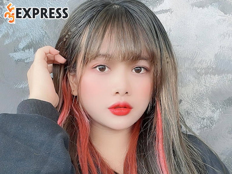 tom-tat-ve-ly-lich-tieu-su-cua-meo-us-35express