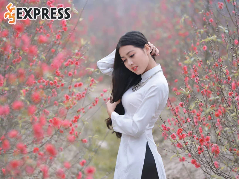 danh-sach-nhung-bai-hat-don-xuan-2023-1-35express