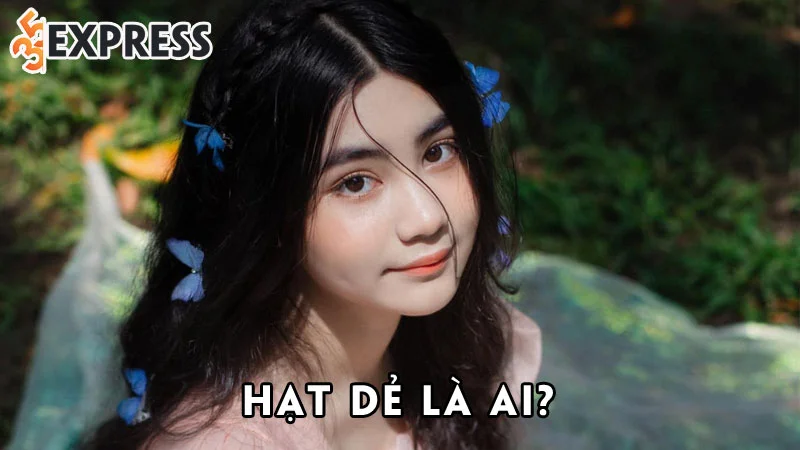 hat-de-la-ai-35express