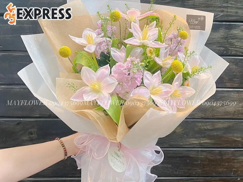 may-flower-35express