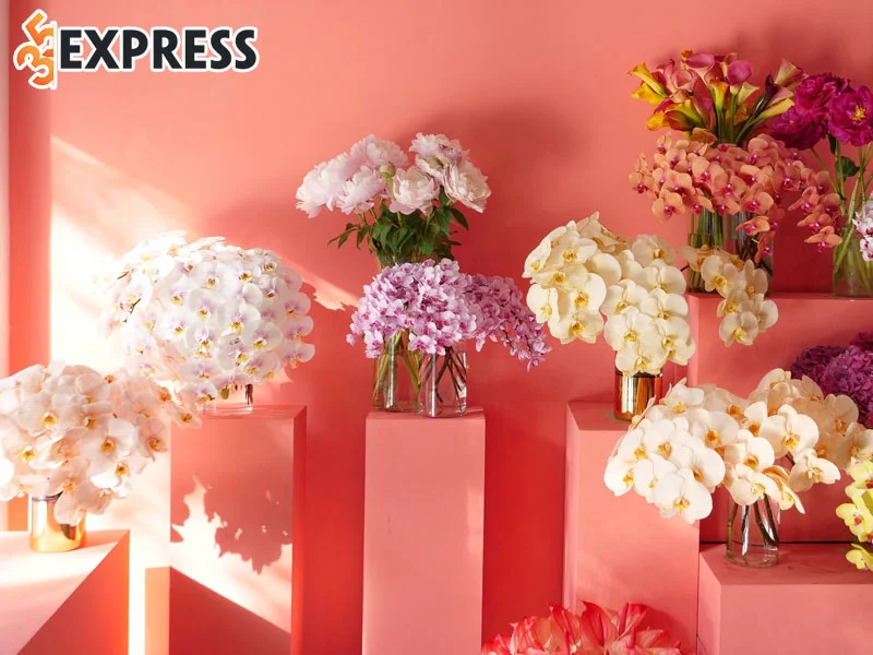 metaphore-flowers-35express