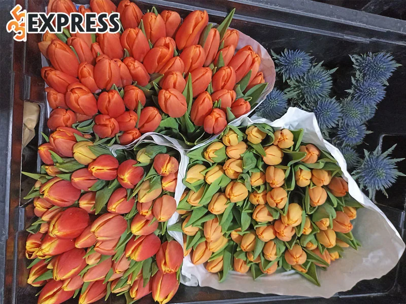talia-flower-shop-35express