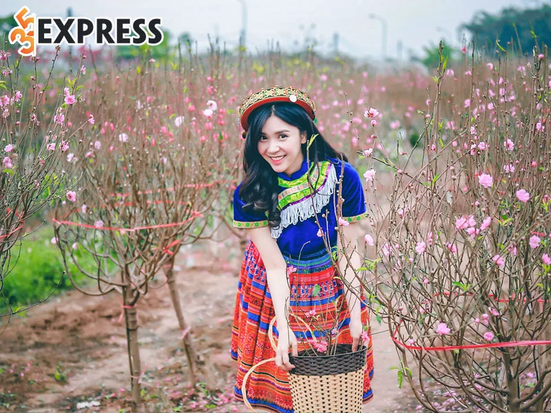 thi-truong-nhac-tet-quy-mao-2023-co-gi-moi-1-35express