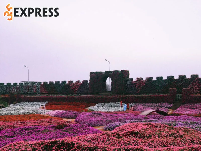 thung-lung-hoa-ho-tay-35express