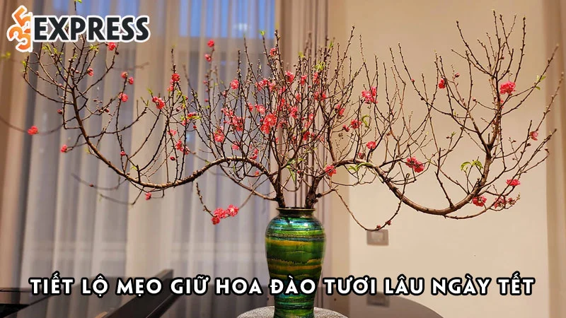 tiet-lo-meo-giu-hoa-dao-tuoi-lau-ngay-tet-cuc-huu-ich-ma-ai-cung-lam-duoc-35express