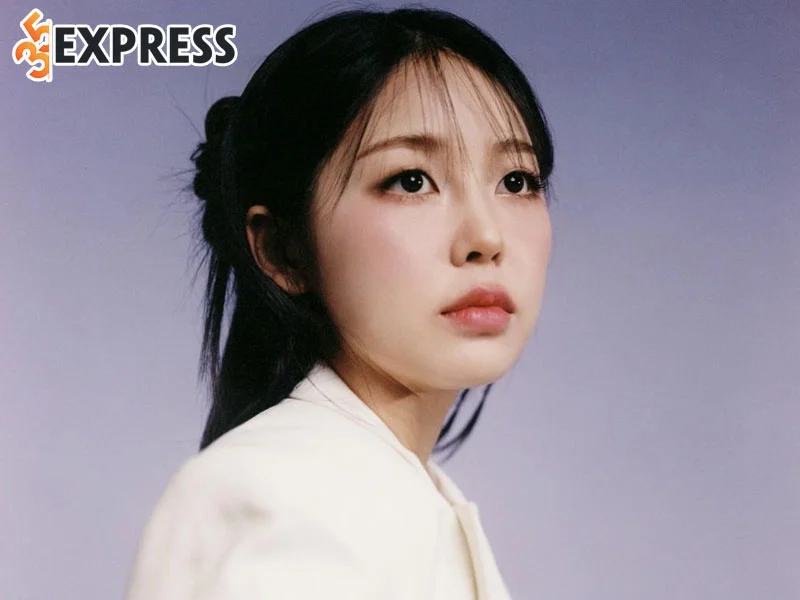 tom-tat-ve-ly-lich-tieu-su-cua-meenoi-35express