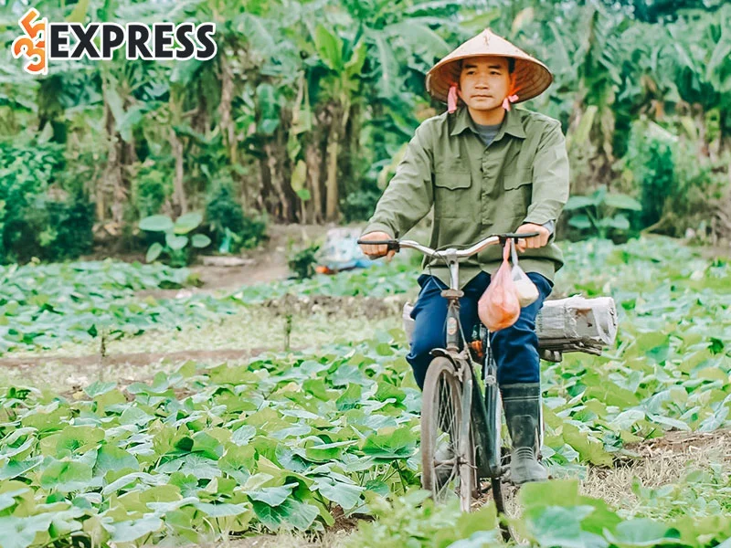 tom-tat-ve-ly-lich-tieu-su-cua-tiktoker-anh-nong-dan-35express