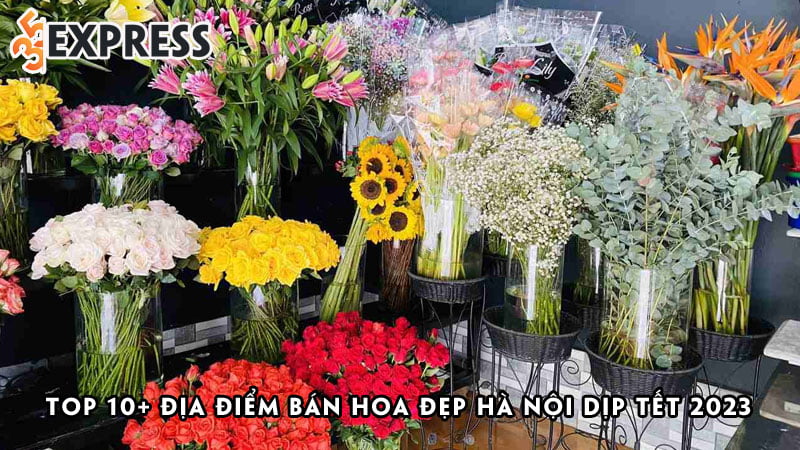 top-10-dia-diem-ban-hoa-dep-ha-noi-dip-tet-2023-dang-mua-nhat-35express