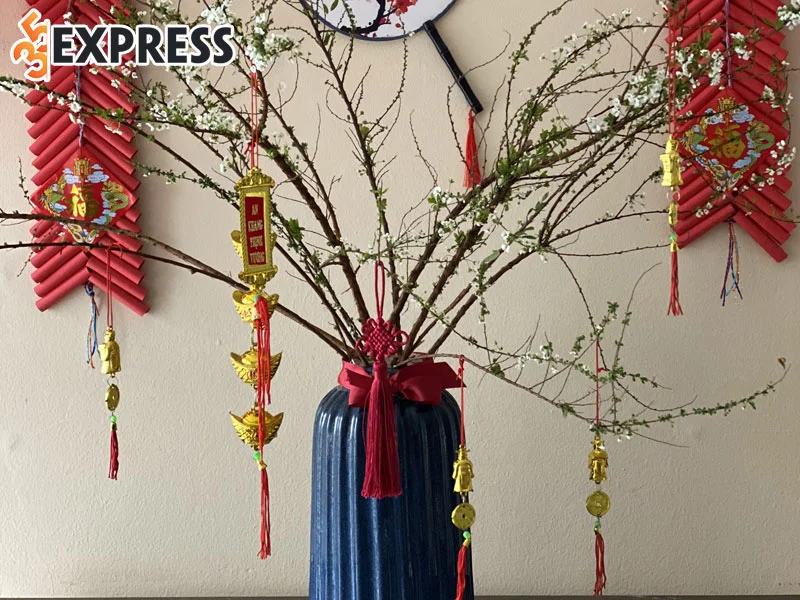 y-nghia-cua-hoa-tuyet-mai-1-35express