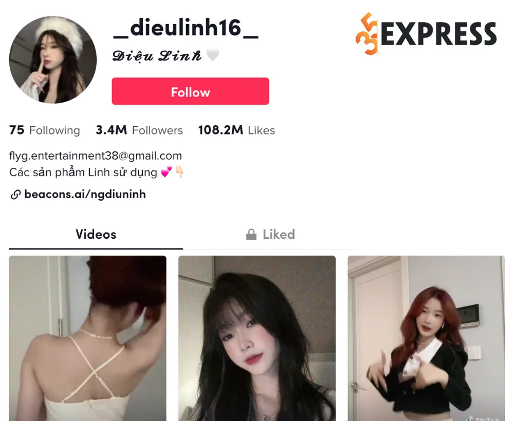 Kênh TikTok followers khủng của cô nàng Diệu Linh
