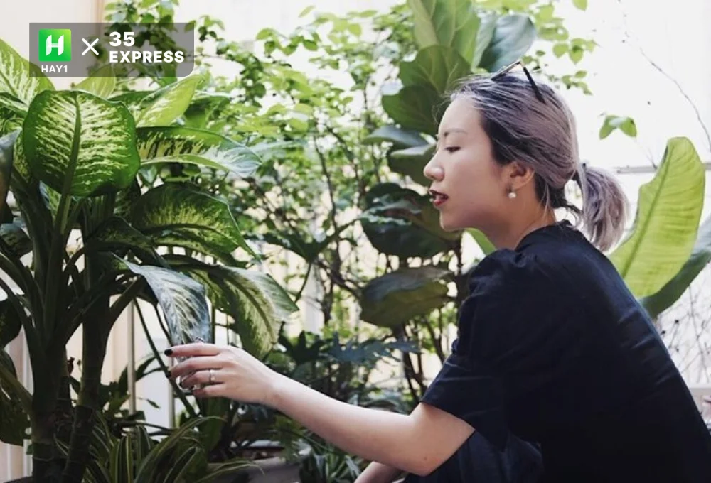Nguyễn Hà Linh (3)