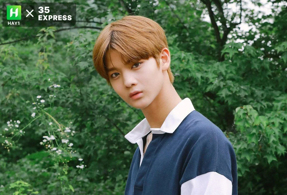 Bae Jin Young