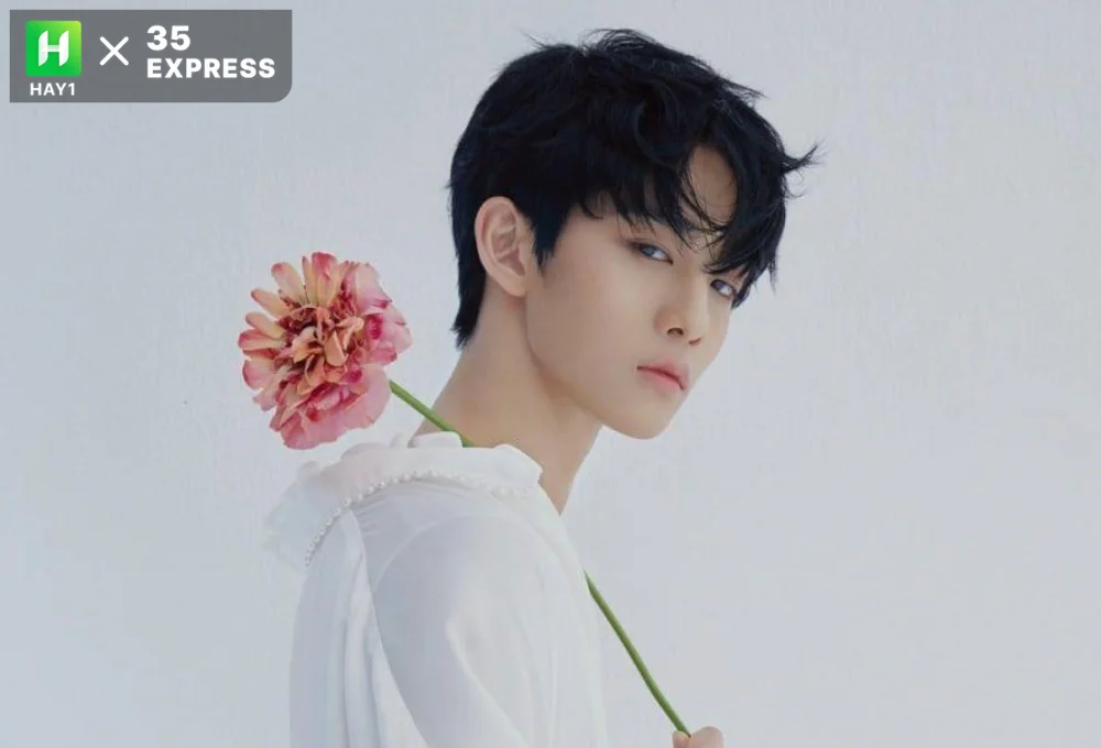 Bae Jin Young