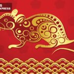 Tuổi tý sinh năm bao nhiêu? Xem tử vi tuổi tý mới nhất