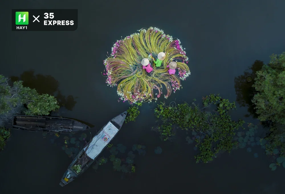 Tác phẩm "Flower on the water" chiến thắng hạng mục People giải Skypixel 2019 và hạng mục People giải Drone Siena award 2019 - Phan Thị Khánh