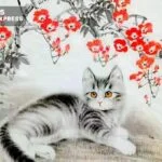 Tuổi Mão sinh năm bao nhiêu? Xem tử vi tuổi Mão mới nhất