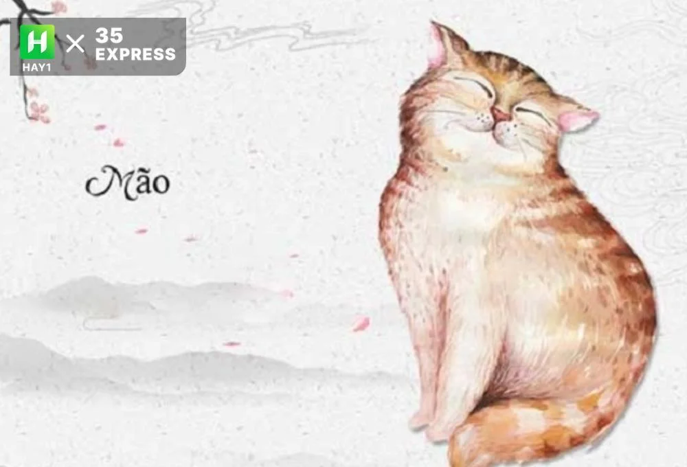 Tuổi Mão hợp tuổi nào? khắc tuổi nào?