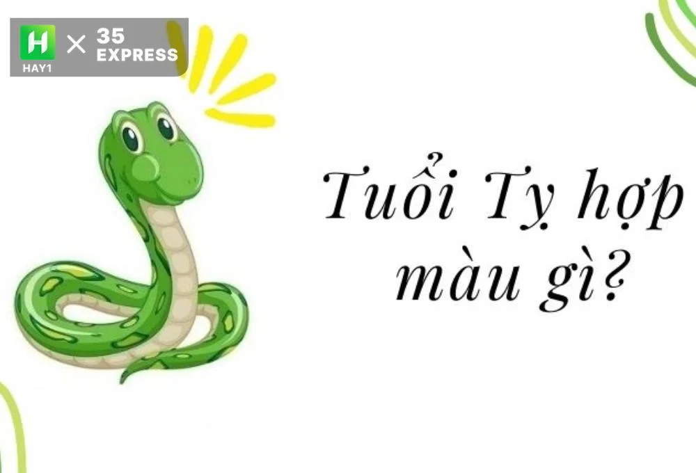 Tuổi Tỵ hợp màu gì, hướng nào?