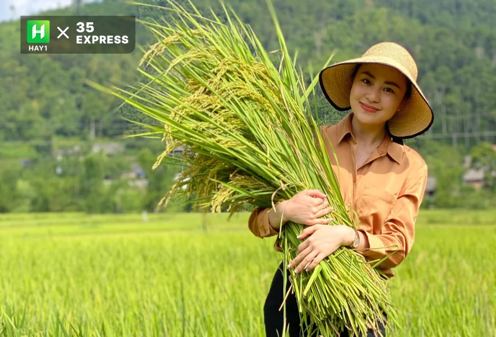 BTV Ngọc Bích còn là một phóng viên mảng thiên tai, một phóng viên nông nghiệp