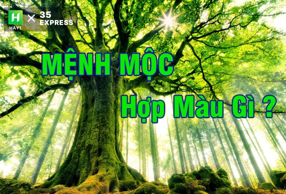 Mệnh Mộc hợp màu nào và khắc màu nào?