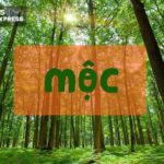 Mệnh mộc là gì trong ngũ hành?