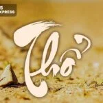 Mệnh thổ là gì trong ngũ hành?