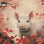 Tuổi Hợi sinh năm bao nhiêu? Xem tử vi tuổi Hợi mới nhất