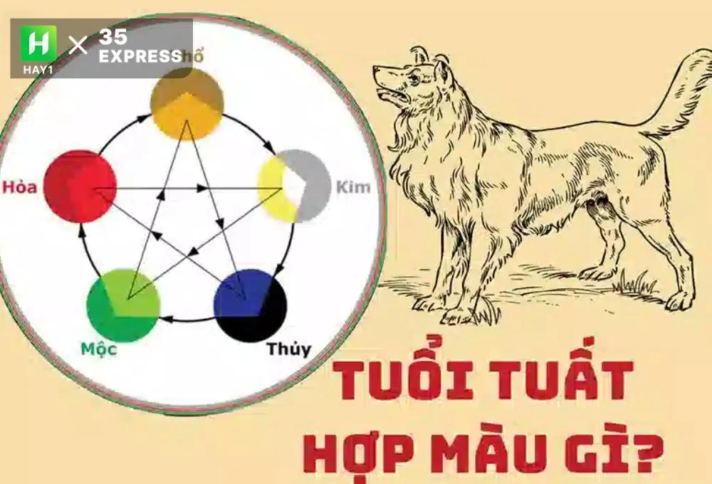 Các hướng hợp với tuổi Tuất