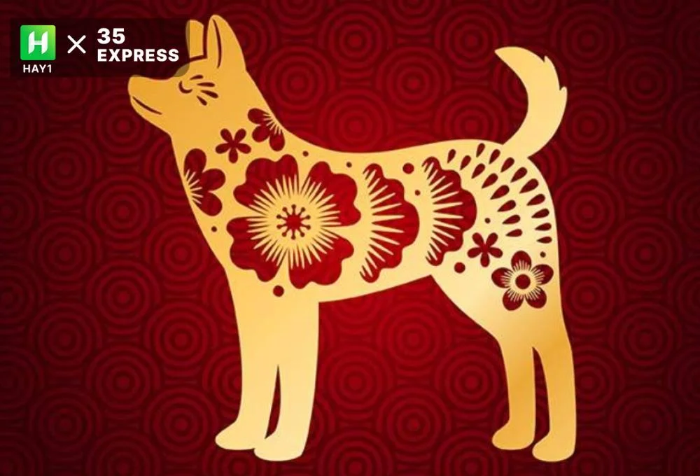 Tuổi Tuất sinh năm bao nhiêu? Thuộc mệnh gì?