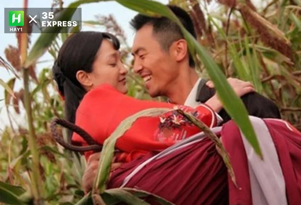Cao lương đỏ – Red Sorghum