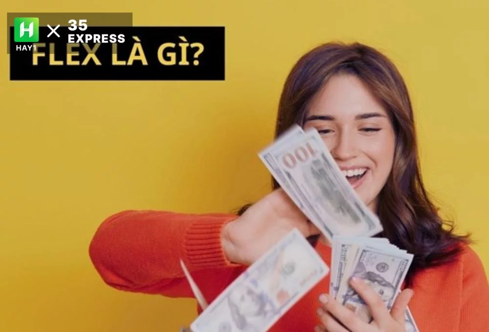 Flex là gì